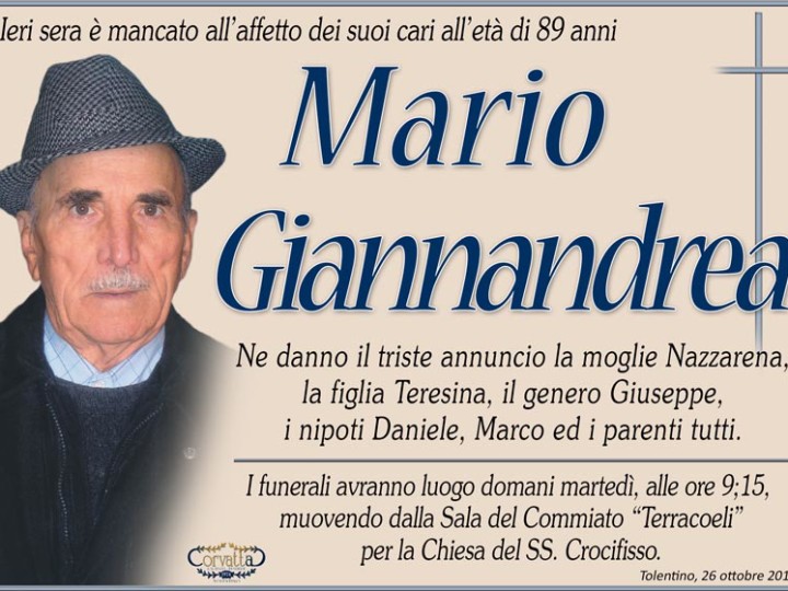 Giannandrea Mario
