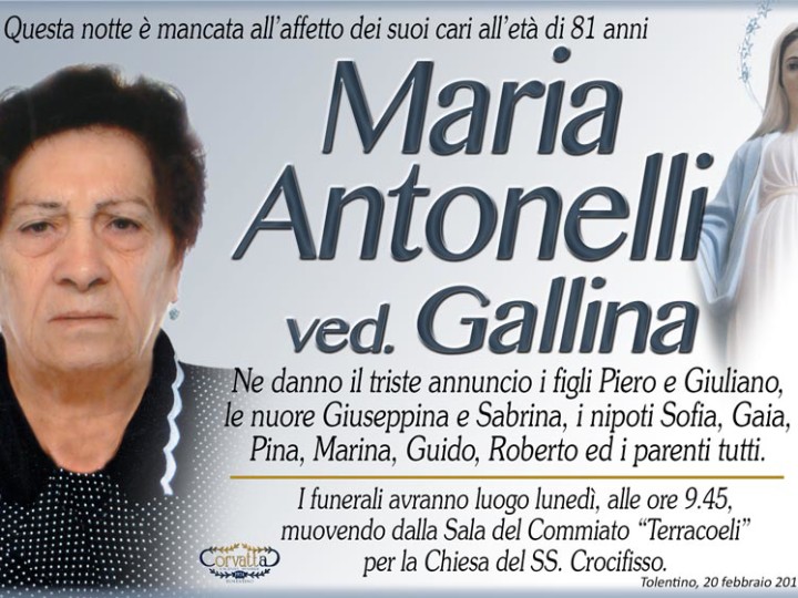 Antonelli Maria Gallina