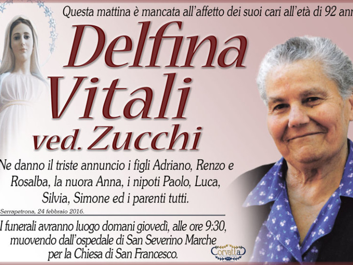 Vitali Delfina Zucchi