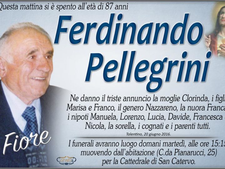 Pellegrini Ferdinando