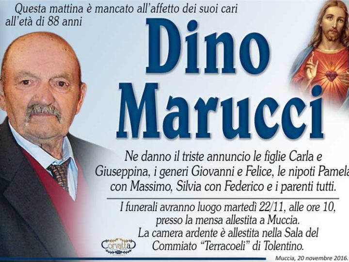 Marucci Dino