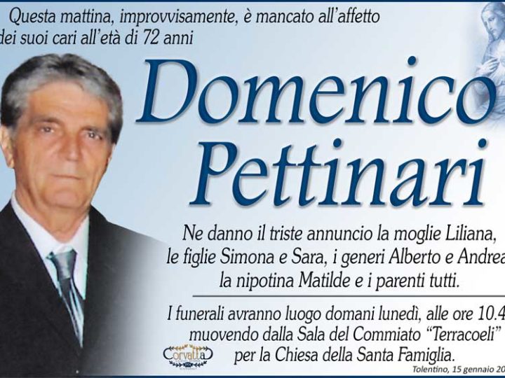 Pettinari Domenico
