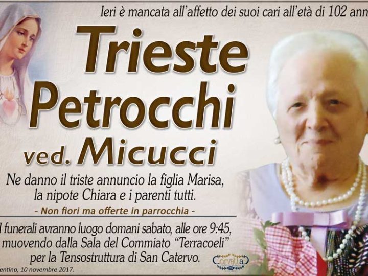 Petrocchi Trieste Micucci
