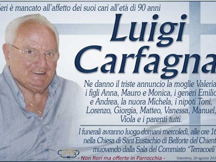 Carfagna Luigi