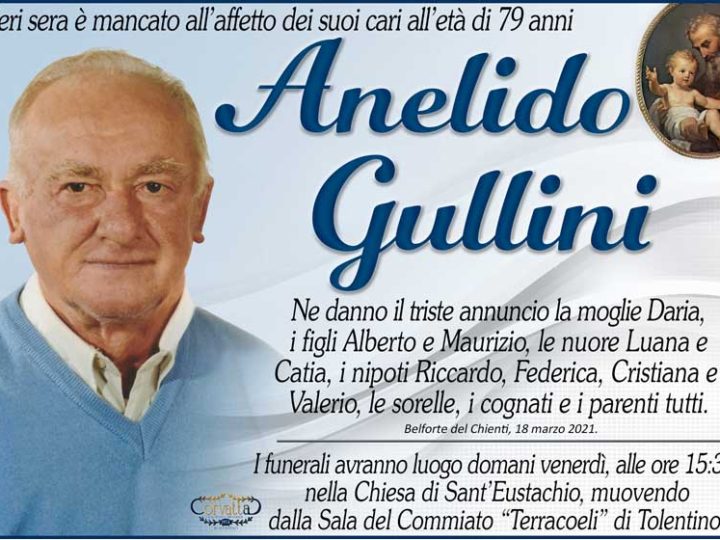 Gullini Anelido