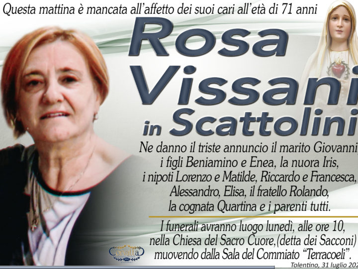 Vissani Rosa Scattolini