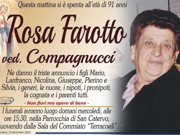 Farotto Rosa Compagnucci
