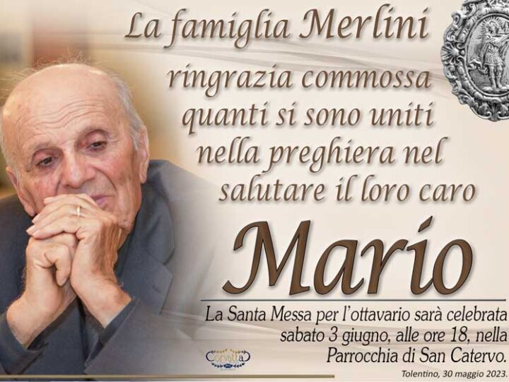 Ringraziamento: Mario Merlini