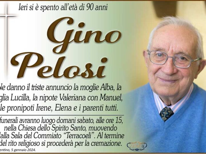 Pelosi Gino
