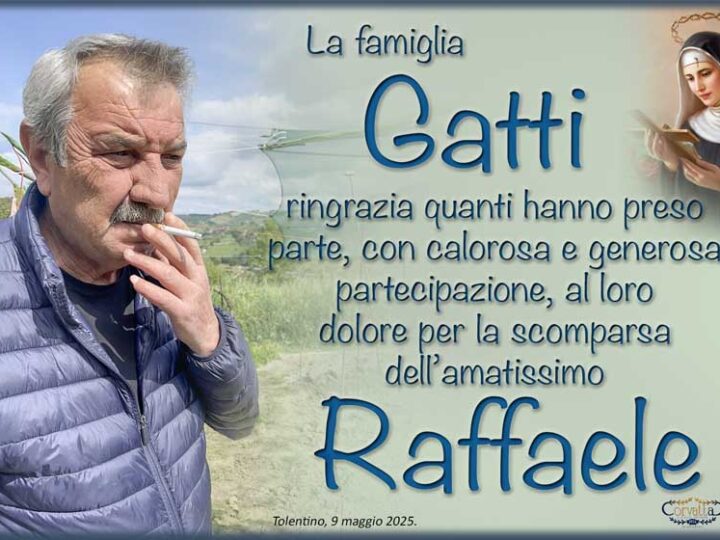 Ringraziamento: Raffaele Gatti