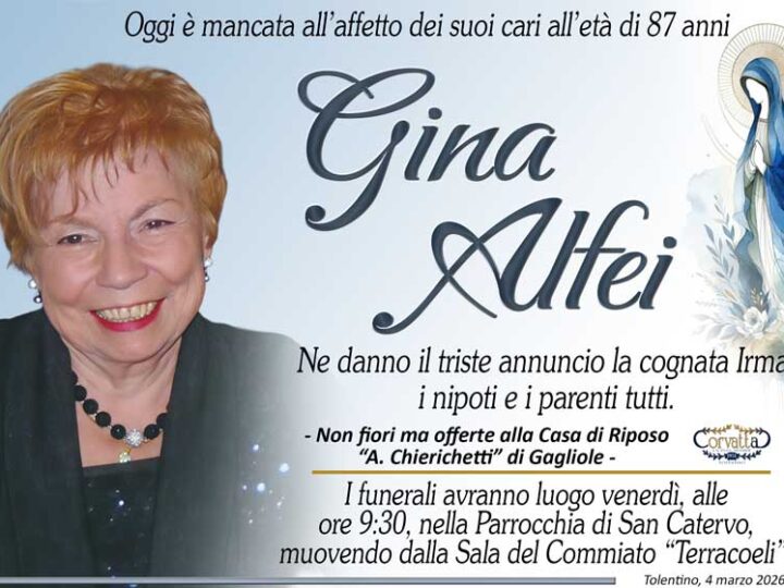 Alfei Gina
